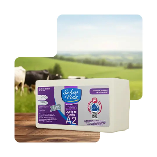 iogurte-costume-saudavel copiar 5